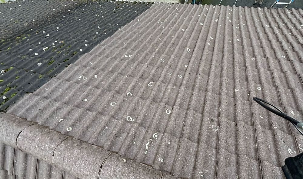 Soft Wash Roof and Gutter Cleaning Services in Wexford and The South East