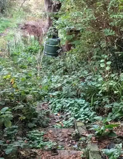 Overgrown Garden Clearance, Garden Tidy Up - Wexford and the South East