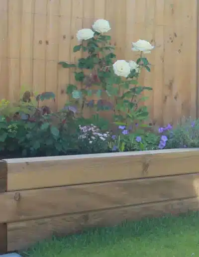 Professional Landscaping Services Wexford