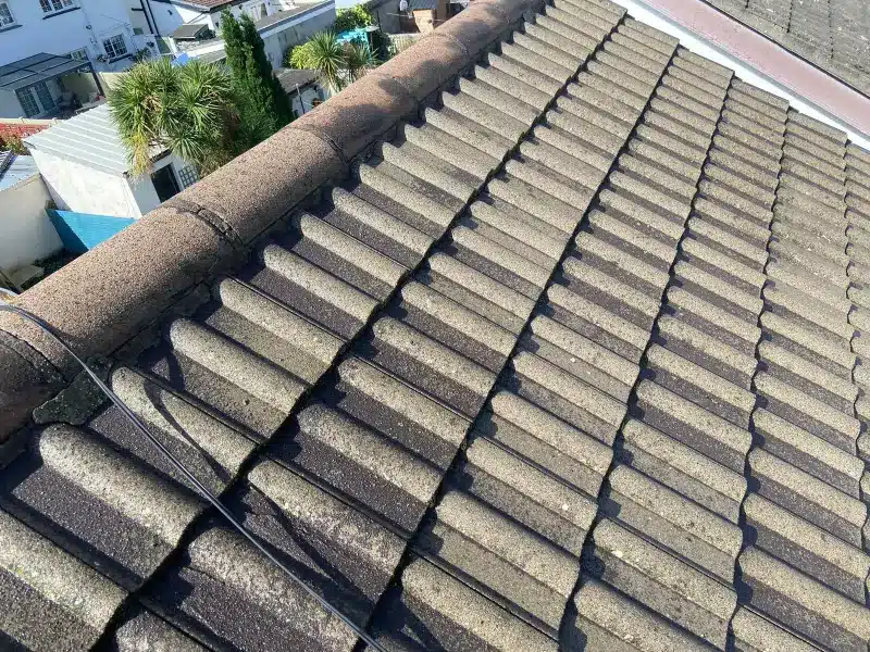 Professional Roof and Gutter Cleaning Services