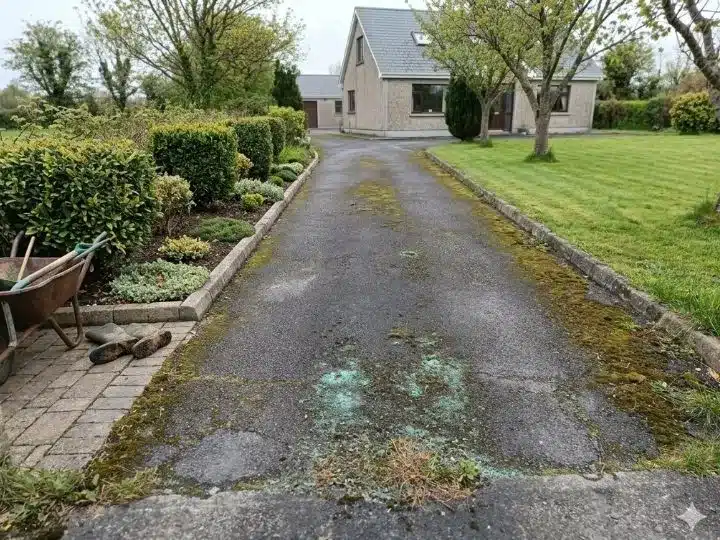 Moss Covered Tarmac Driveway Tarmac driveway before cleaning, with moss and surface staining